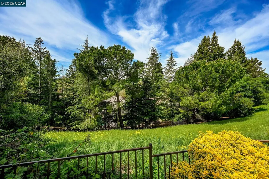 715 Blue Spruce Drive Danville CA 94506