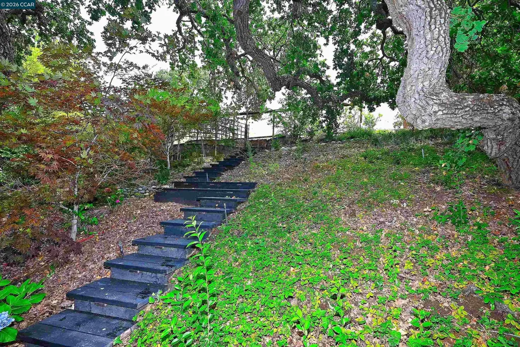 1239 Sunrise Ridge Drive Lafayette CA 94549