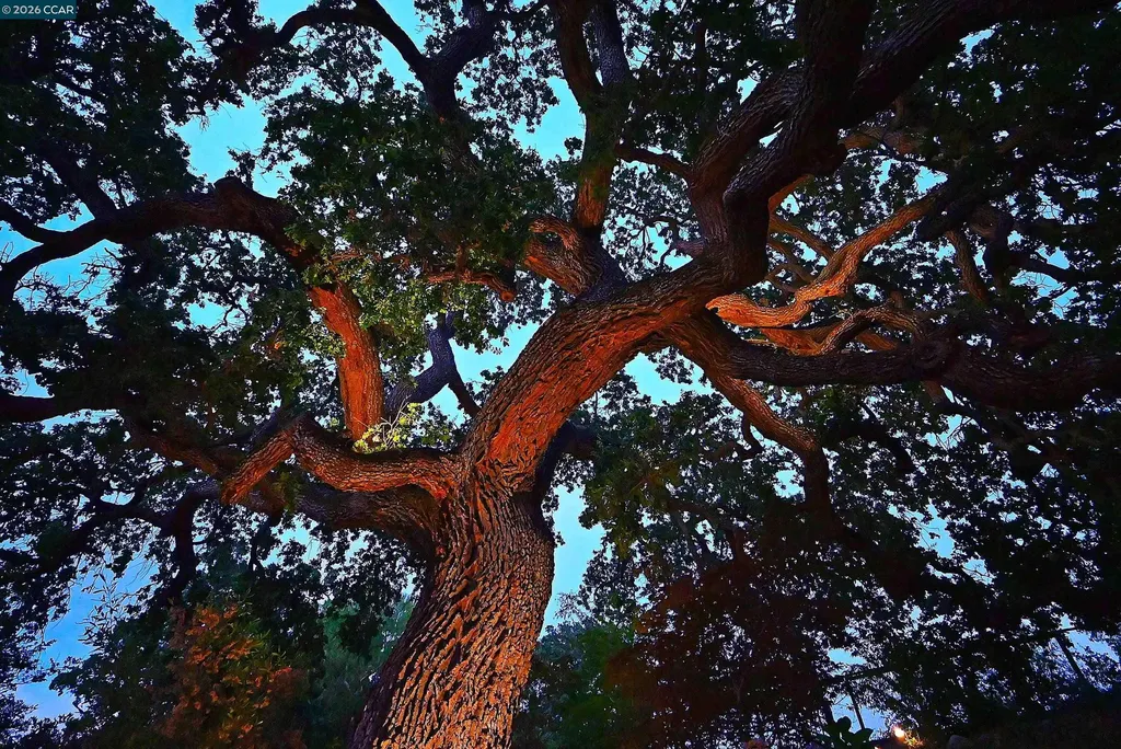 1239 Sunrise Ridge Drive Lafayette CA 94549