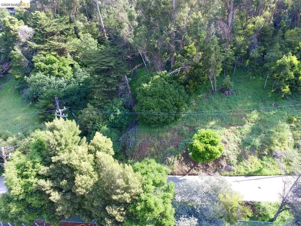 Scout Road Oakland CA 94611