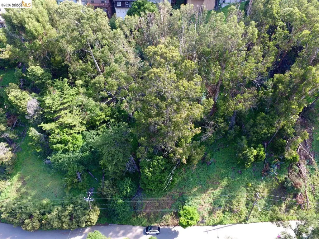 Scout Road Oakland CA 94611