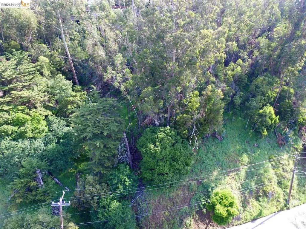 Scout Road Oakland CA 94611