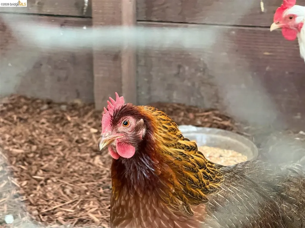 1799 Pomona Street Crockett CA 94525