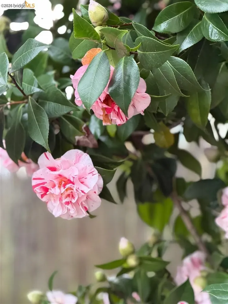 1799 Pomona Street Crockett CA 94525