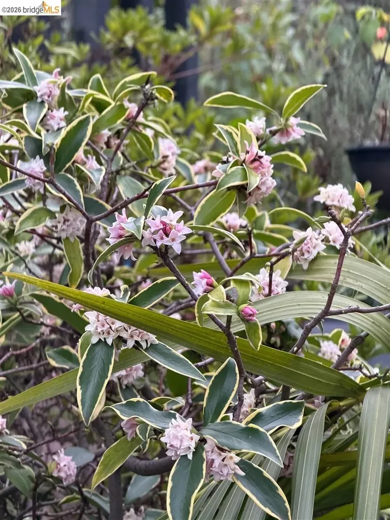 1799 Pomona Street Crockett CA 94525