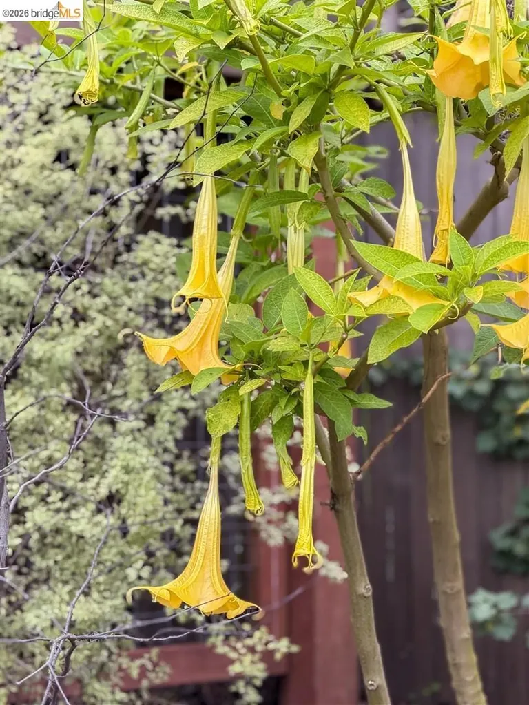 1799 Pomona Street Crockett CA 94525