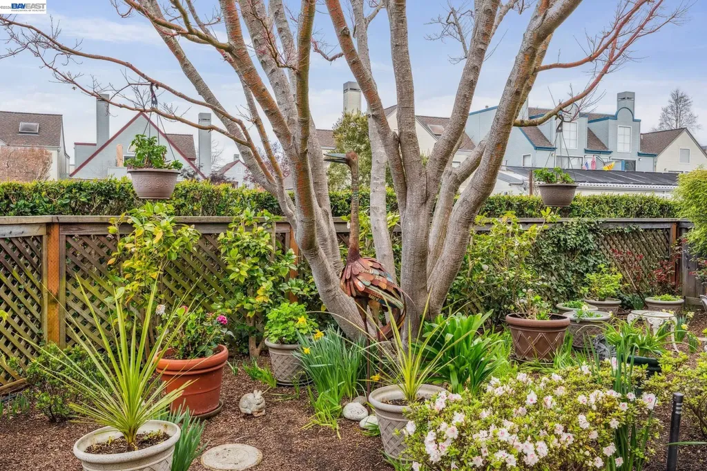 9 Regulus Court Alameda CA 94501