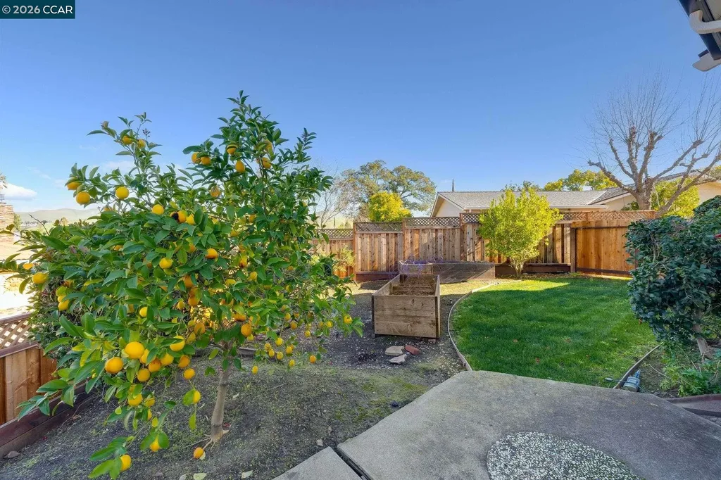 5817 Mitchell Canyon Court Clayton CA 94517