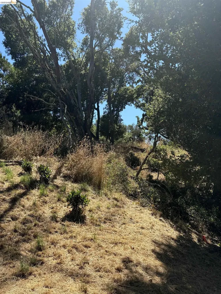 Spring Road Orinda CA 94563