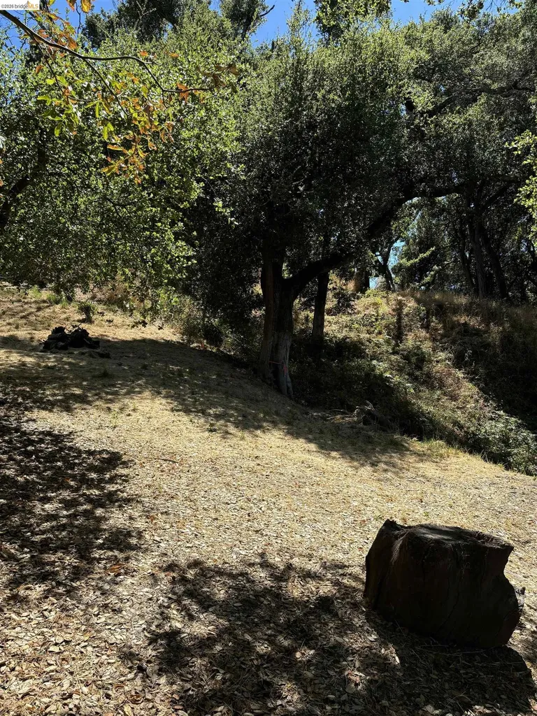 Spring Road Orinda CA 94563