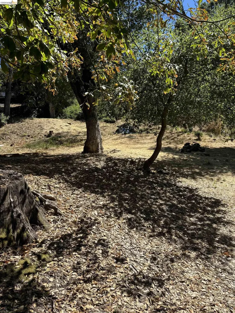 Spring Road Orinda CA 94563