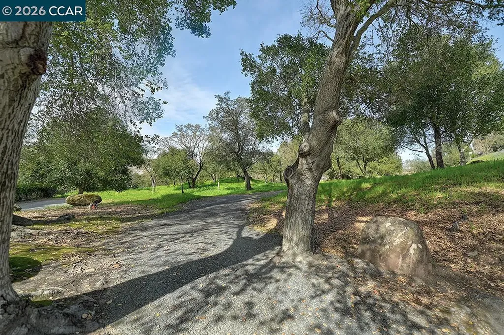 2005 Cactus Court Walnut Creek CA 94595