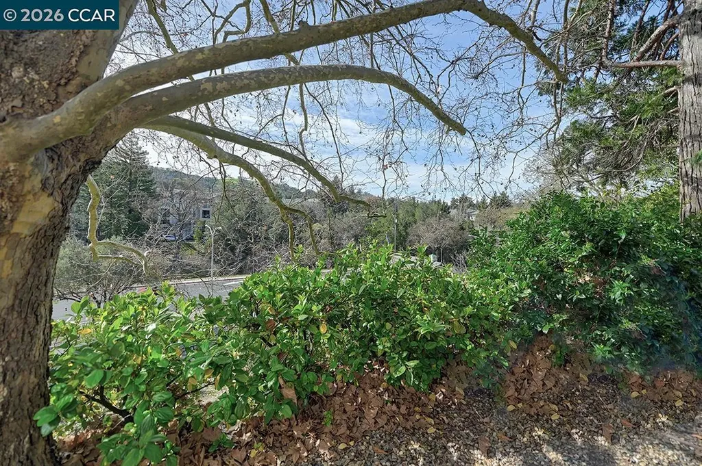 2005 Cactus Court Walnut Creek CA 94595