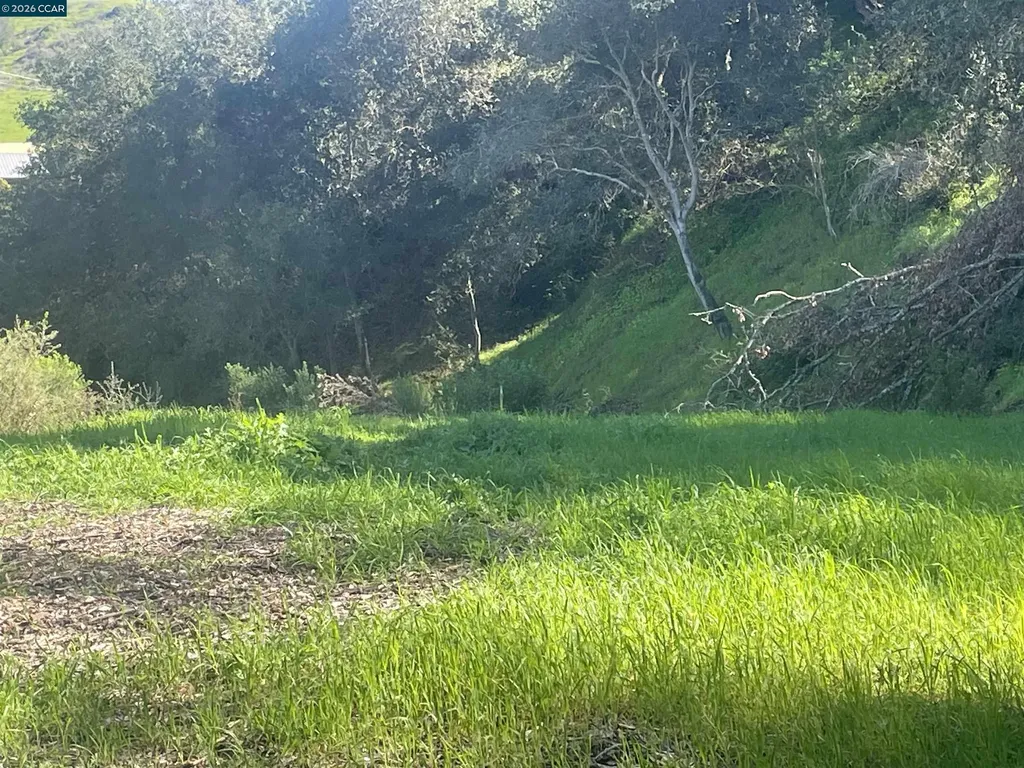 2965 Rohrer Drive Lafayette CA 94595