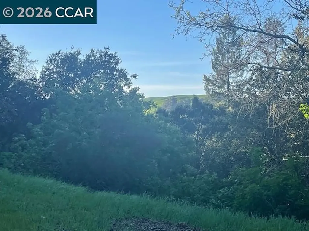 2965 Rohrer Drive Lafayette CA 94595