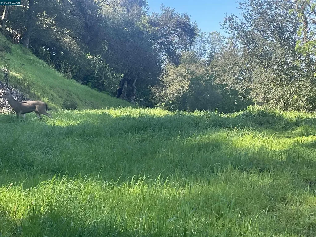 2965 Rohrer Drive Lafayette CA 94595