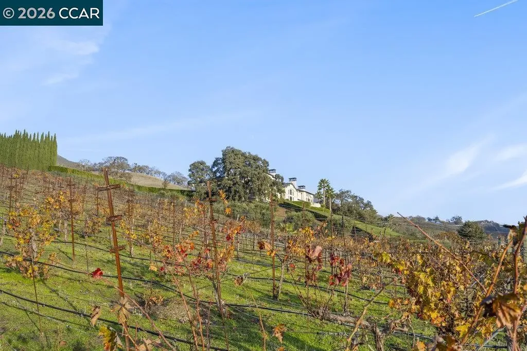 10 Serenity Lane Alamo CA 94507