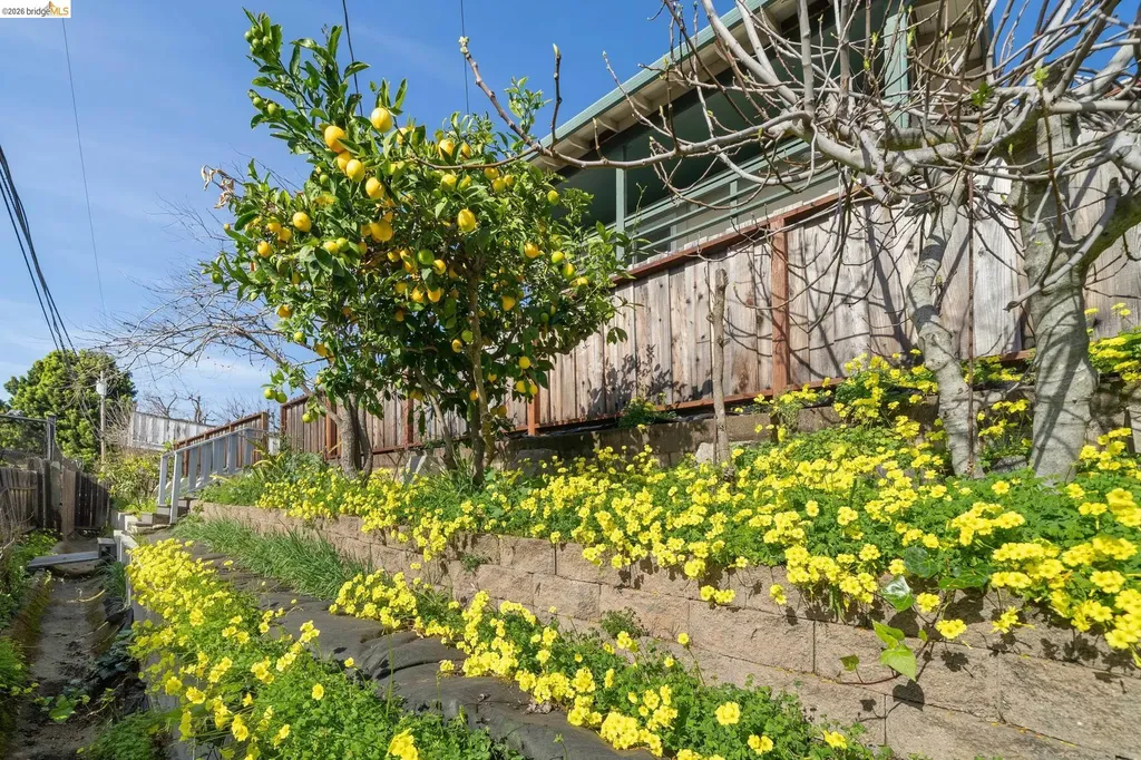 30229 Treeview Street Hayward CA 94544