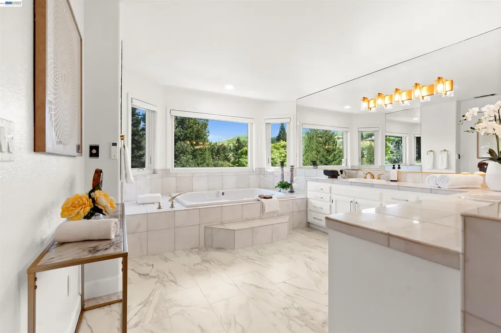 696 Blue Spruce Drive Danville CA 94506