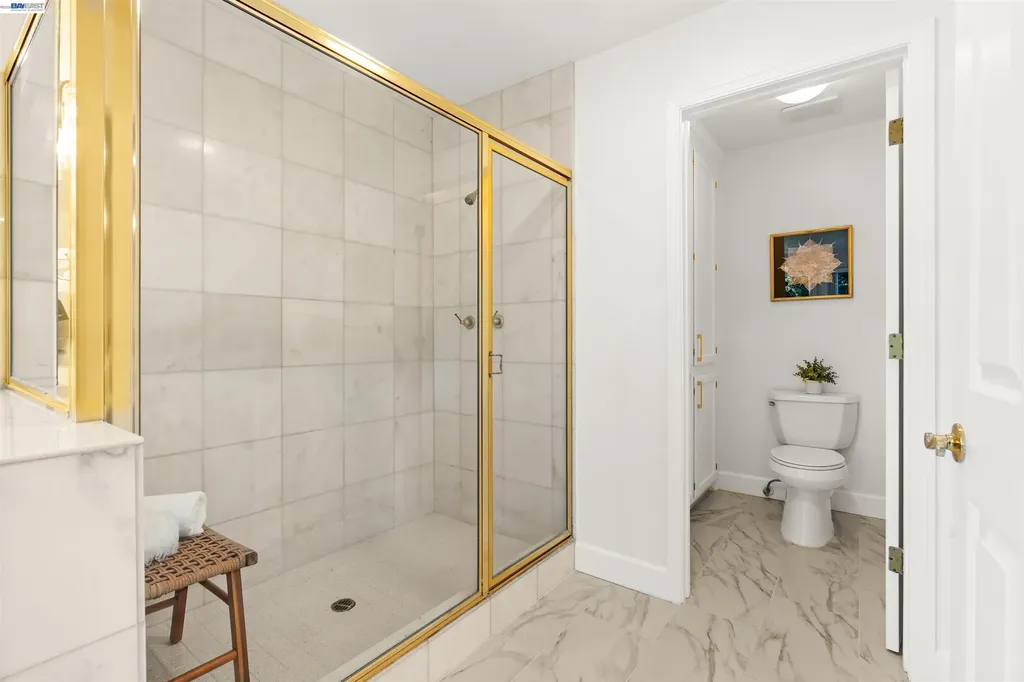 696 Blue Spruce Drive Danville CA 94506