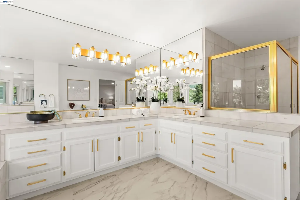 696 Blue Spruce Drive Danville CA 94506