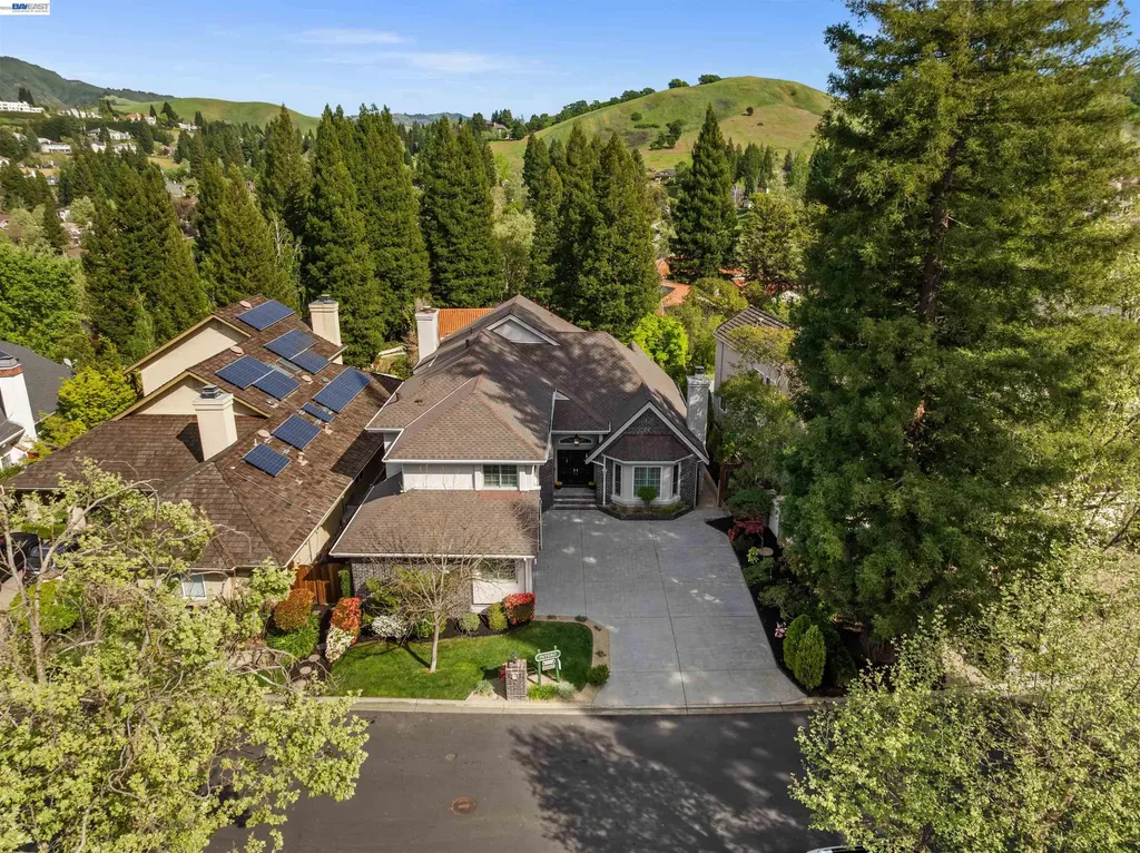 696 Blue Spruce Drive Danville CA 94506