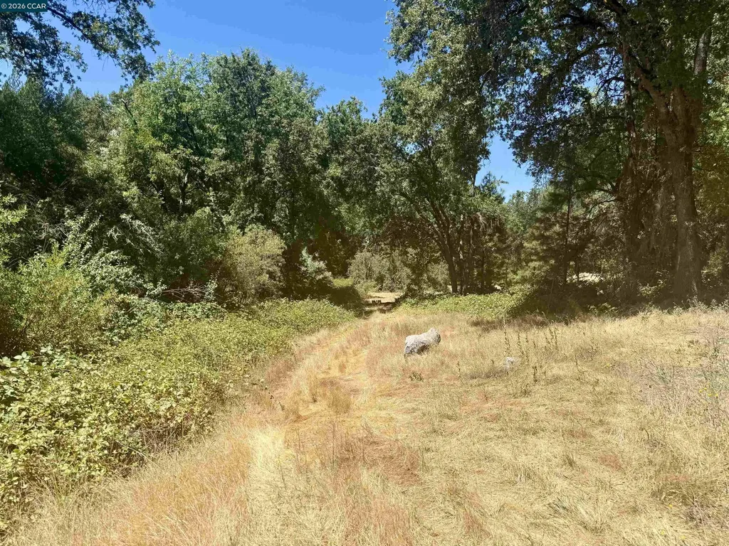 4578 Pretty Good Road Placerville CA 95667