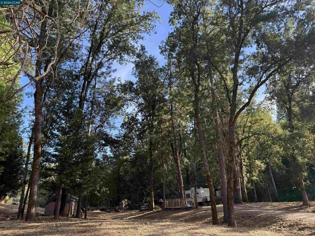 4578 Pretty Good Road Placerville CA 95667