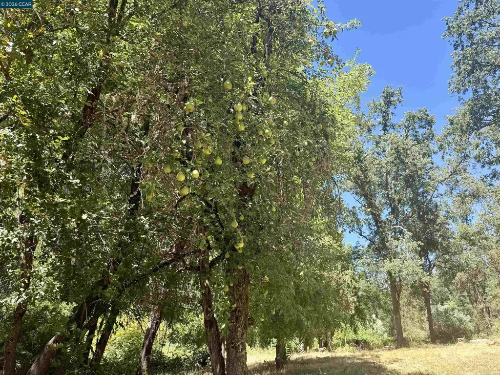 4578 Pretty Good Road Placerville CA 95667
