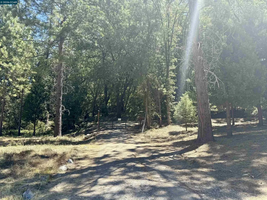 4578 Pretty Good Road Placerville CA 95667