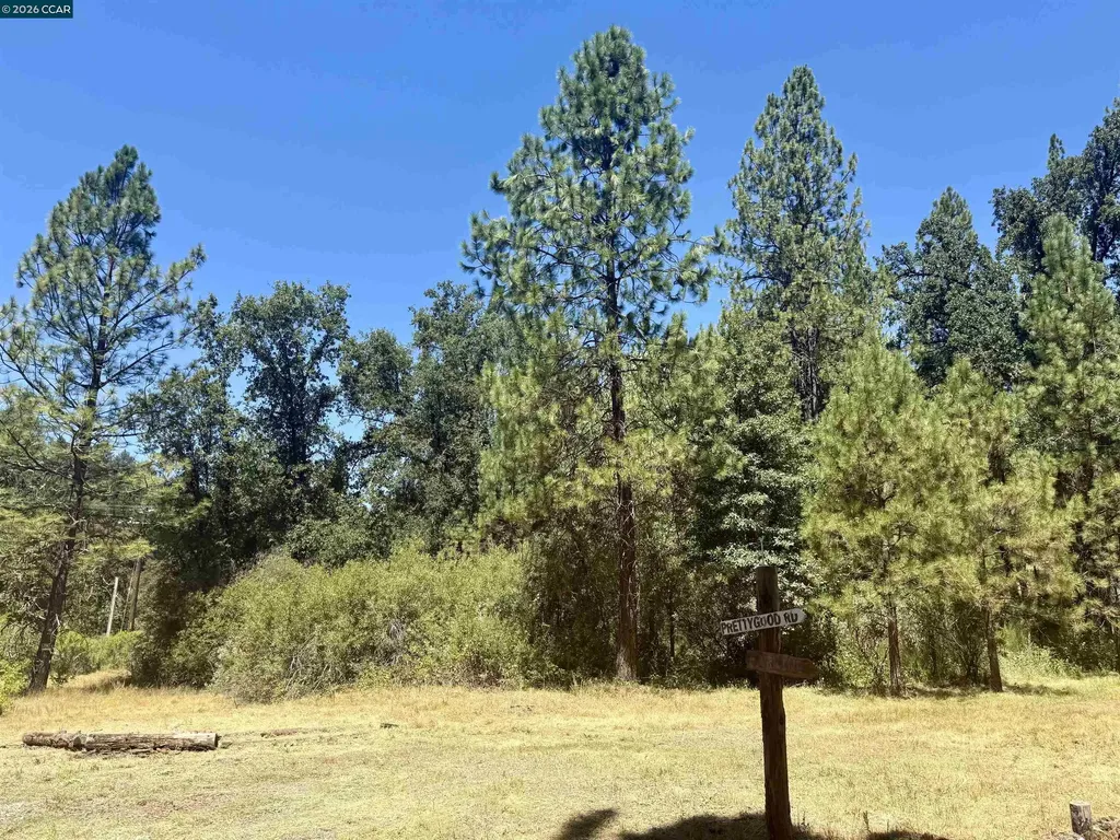 4578 Pretty Good Road Placerville CA 95667