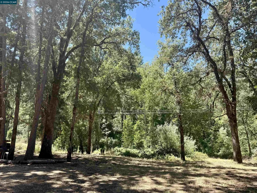 4578 Pretty Good Road Placerville CA 95667