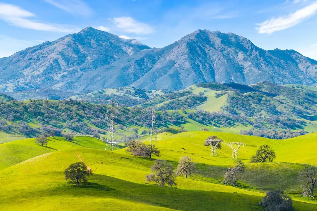 1989 Old Vine Place Brentwood CA 94513