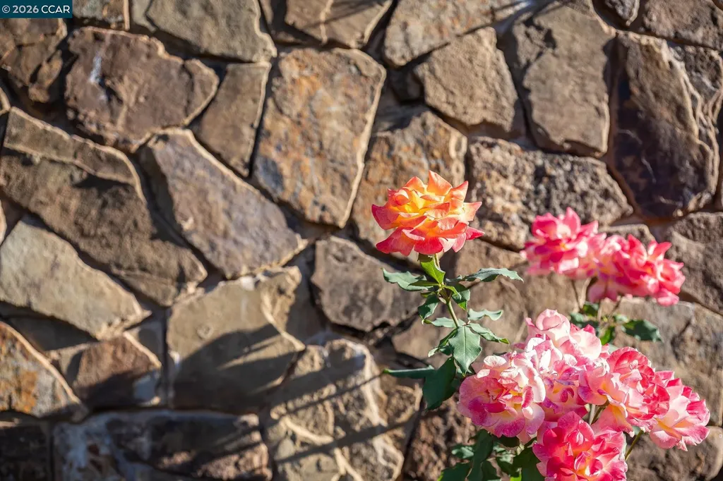 940 Eagle Ridge Drive Danville CA 94506