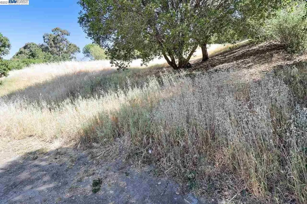 Outlook Avenue Oakland CA 94608