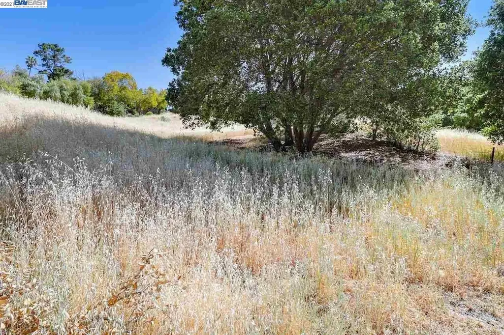 Outlook Avenue Oakland CA 94608