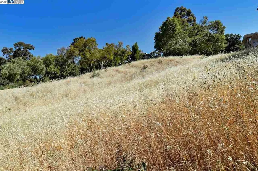 Outlook Avenue Oakland CA 94608