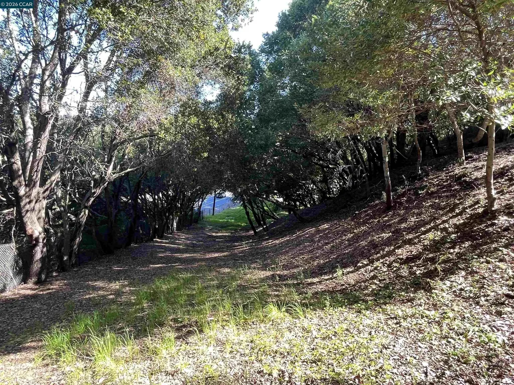 6 Brookwood Orinda CA 94563