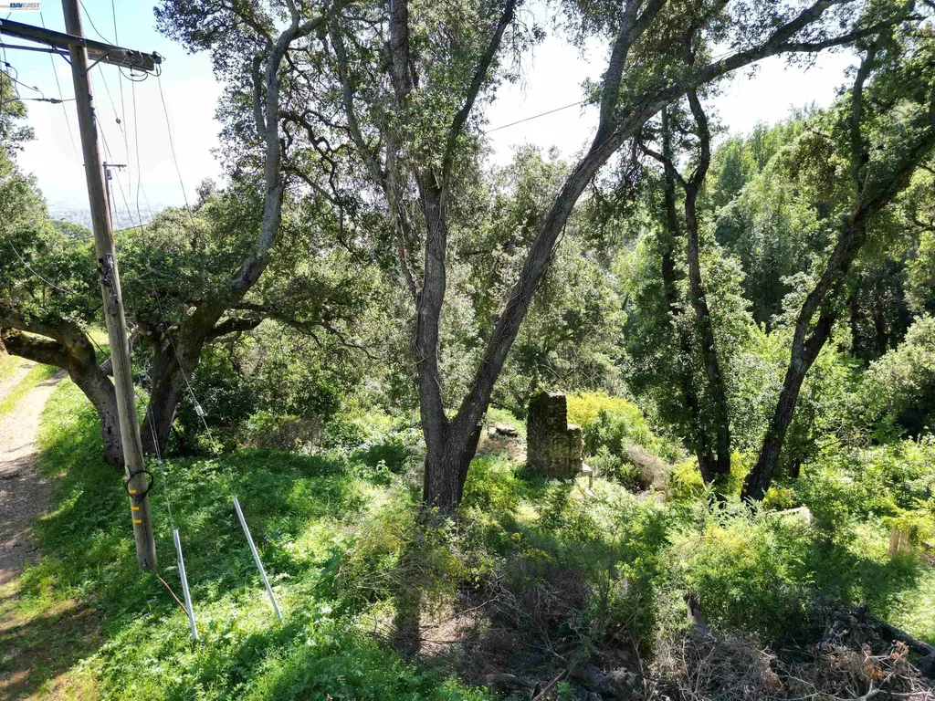 3984 Foothill Road Pleasanton CA 94588