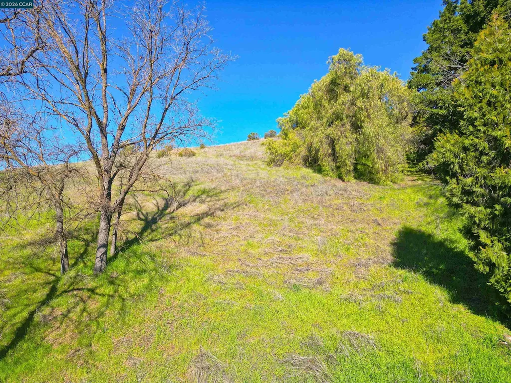 2590 Caballo Ranchero Drive Diablo CA 94528