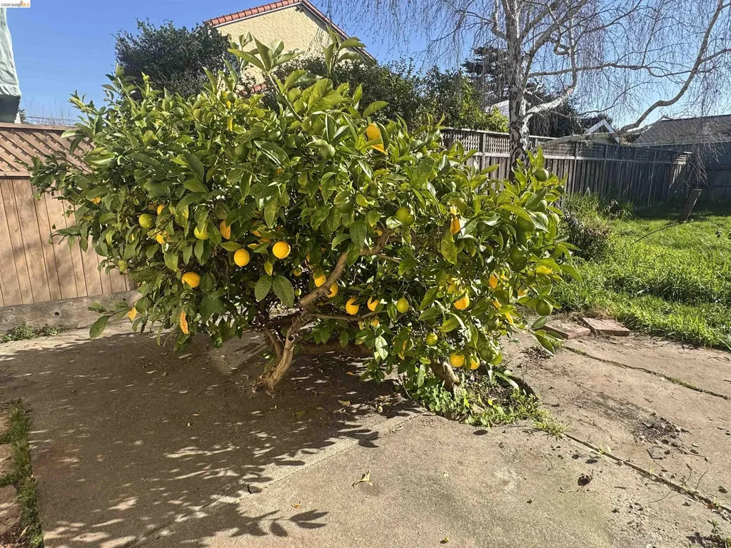 1266 Washington Avenue Albany CA 94706