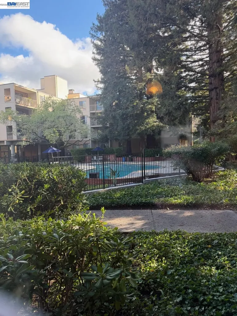 320 Civic Drive Walnut Creek CA 94596