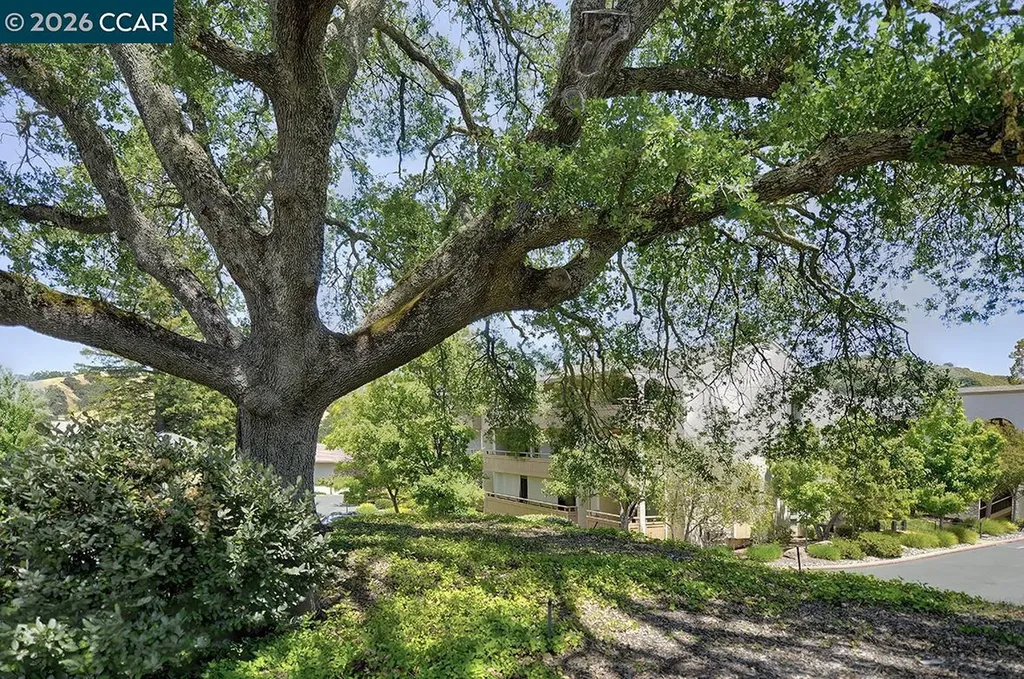 4033 Terra Granada Drive Walnut Creek CA 94595