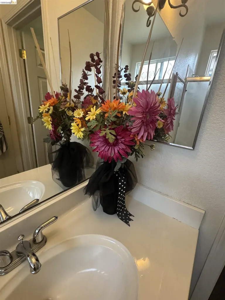 850 Volpaia Court Brentwood CA 94513