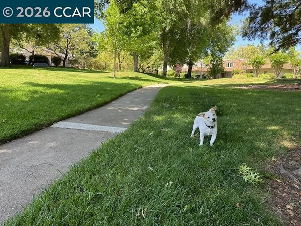 1762 Holland Circle Walnut Creek CA 94597