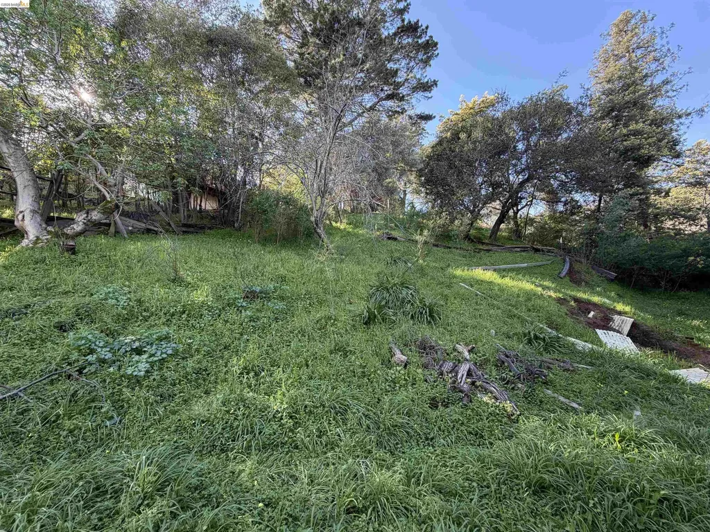 59, 60 Clayton Street San Rafael CA 94901