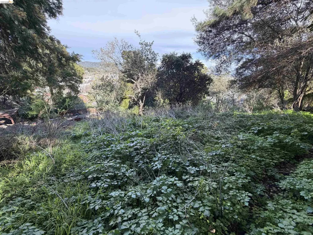 59, 60 Clayton Street San Rafael CA 94901