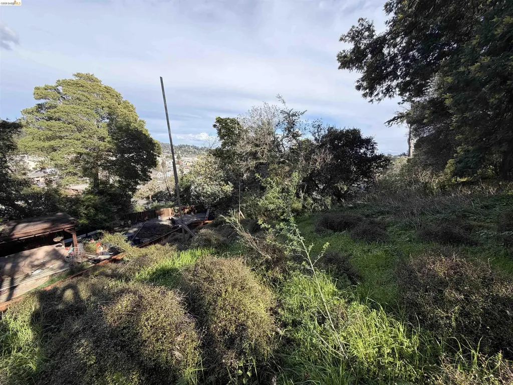 59, 60 Clayton Street San Rafael CA 94901