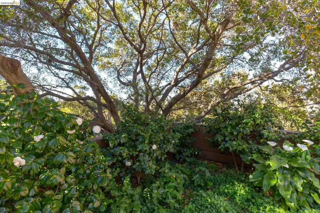 1 Kelton Court Oakland CA 94611