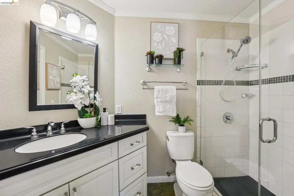 535 Pierce Street Albany CA 94706